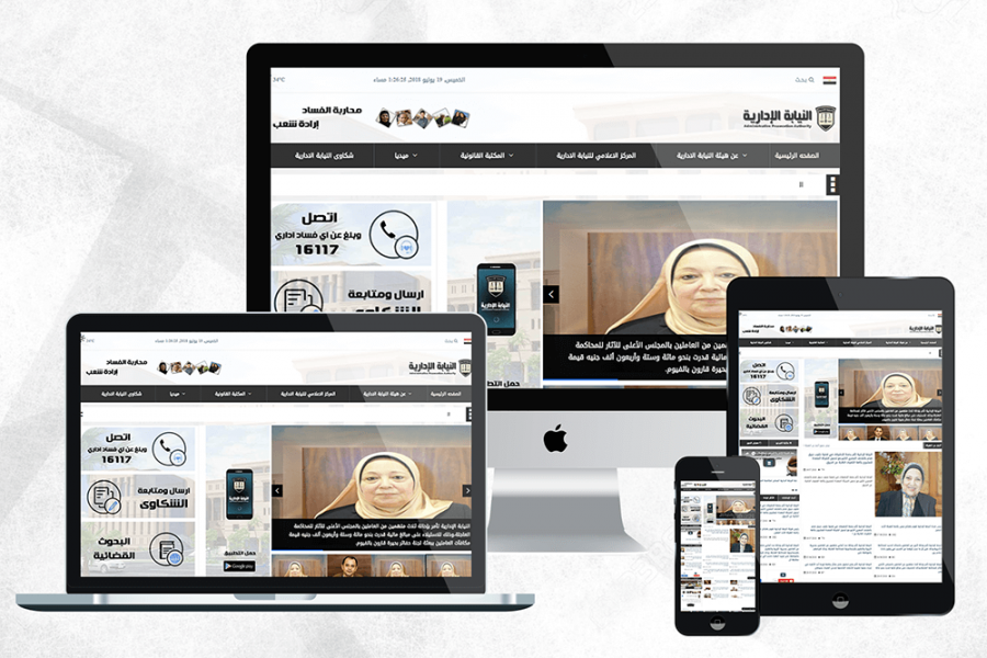 Axis Pro Solutions Portfolio | ap.gov.eg
