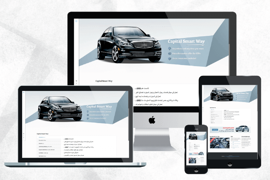 Axis Pro Solutions Portfolio | Capitalsmart