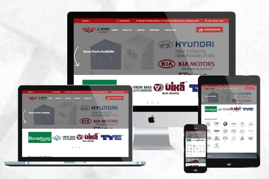 Axis Pro Solutions Portfolio | elwatania
