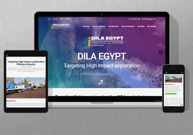 Our Portfolio - شركة اكسس لحلول التجارة الالكترونية | شركة تصميم مواقع | تسويق إلكتروني | تحسين محركات البحث